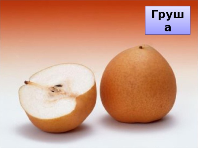 Груша
