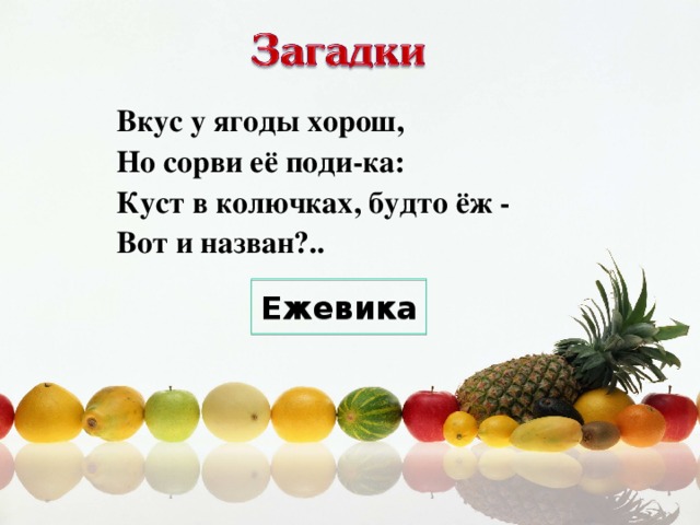 Вкус у ягоды хорош,  Но сорви её поди-ка:  Куст в колючках, будто ёж -  Вот и назван?.. Ежевика