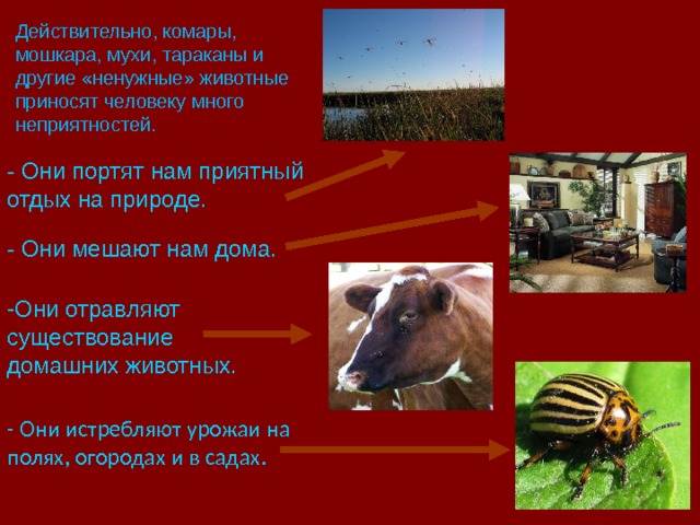 Действительно, комары, мошкара, мухи, тараканы и другие «ненужные» животные приносят человеку много неприятностей.   - Они портят нам приятный отдых на природе. - Они мешают нам дома.    Они отравляют существование домашних животных.   - Они истребляют урожаи на полях, огородах и в садах.   