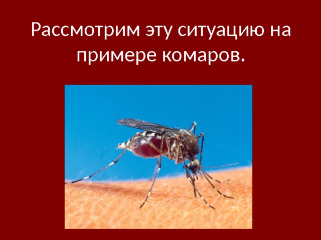 Рассмотрим эту ситуацию на примере комаров. 