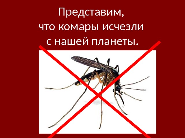 Представим,  что комары исчезли  с нашей планеты.   