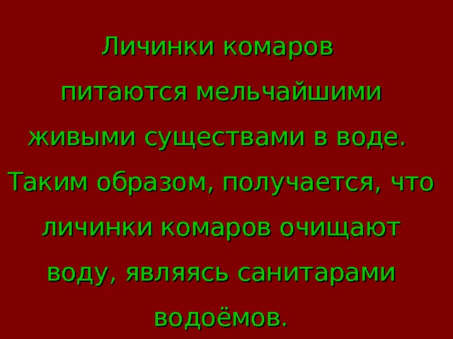 Личинки комаров питаются мельчайшими живыми существами в воде. Таким образом, получается, что личинки комаров очищают воду, являясь санитарами водоёмов. 