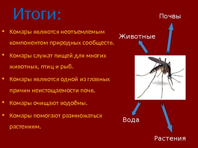 Итоги: Почвы Комары являются неотъемлемым компонентом природных сообществ. Комары служат пищей для многих животных, птиц и рыб. Комары являются одной из главных причин неистощаемости почв. Комары очищают водоёмы. Комары помогают размножаться растениям. Животные Вода Растения 