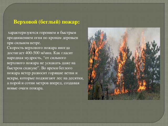 Верховой (беглый) пожар:  характеризуются горением и быстрым продвижением огня по кронам деревьев при сильном ветре. Скорость верхового пожара иногда достигает 400-500 м/мин. Как гласит народная мудрость, “от сильного верхового пожара не ускакать даже на быстром скакуне”. Во время беглого пожара ветер разносит горящие ветви и искры, которые поджигают лес на десятки, а порой и сотни метров вперед, создавая новые очаги пожара. 
