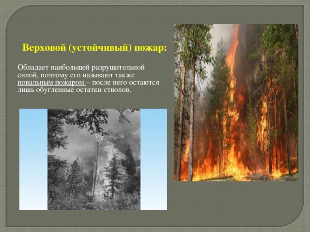 Верховой (устойчивый) пожар: Обладает наибольшей разрушительной силой, поэтому его называют также повальным пожаром – после него остаются лишь обугленные остатки стволов. 