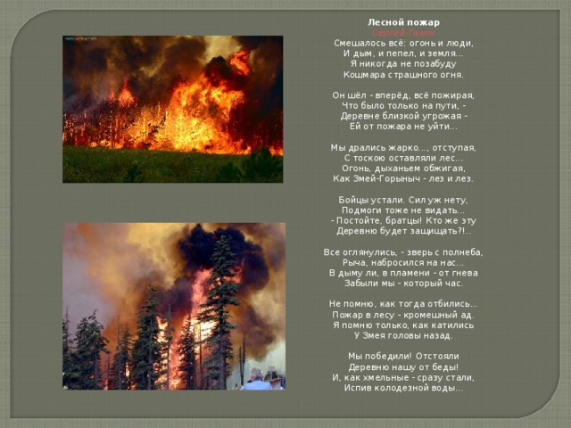Лесной пожар Сергей Газин Смешалось всё: огонь и люди,  И дым, и пепел, и земля...  Я никогда не позабуду  Кошмара страшного огня.   Он шёл - вперёд, всё пожирая,  Что было только на пути, -  Деревне близкой угрожая -  Ей от пожара не уйти...   Мы дрались жарко..., отступая,  С тоскою оставляли лес...  Огонь, дыханьем обжигая,  Как Змей-Горыныч - лез и лез.   Бойцы устали. Сил уж нету,  Подмоги тоже не видать...  - Постойте, братцы! Кто же эту  Деревню будет защищать?!..   Все оглянулись, - зверь с полнеба,  Рыча, набросился на нас...  В дыму ли, в пламени - от гнева  Забыли мы - который час.   Не помню, как тогда отбились...  Пожар в лесу - кромешный ад.  Я помню только, как катились  У Змея головы назад.   Мы победили! Отстояли  Деревню нашу от беды!  И, как хмельные - сразу стали,  Испив колодезной воды...   