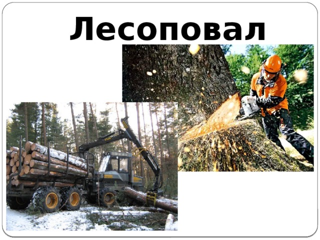 Лесоповал 