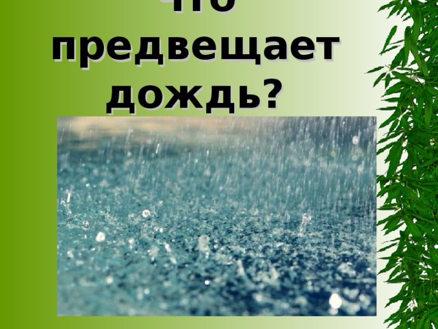 Что предвещает дождь? 