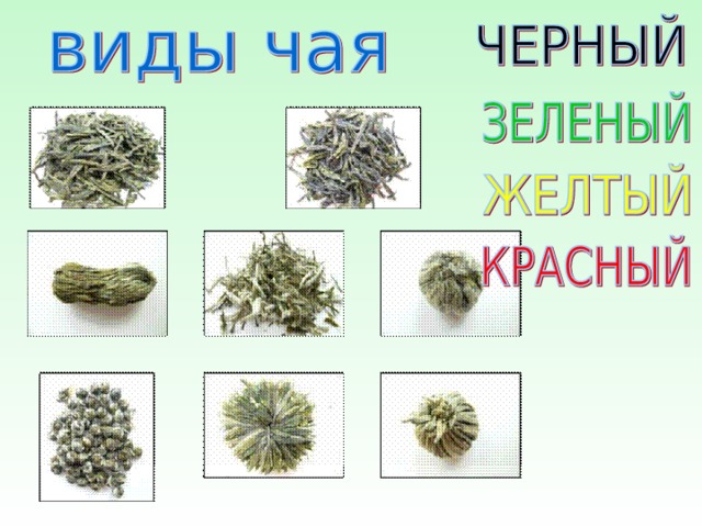 Товароведная оценка качества и ассортимента чая, поступающего в торговое предпри