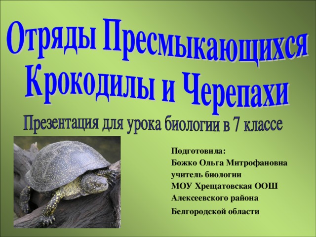 Отряд крокодилы презентация
