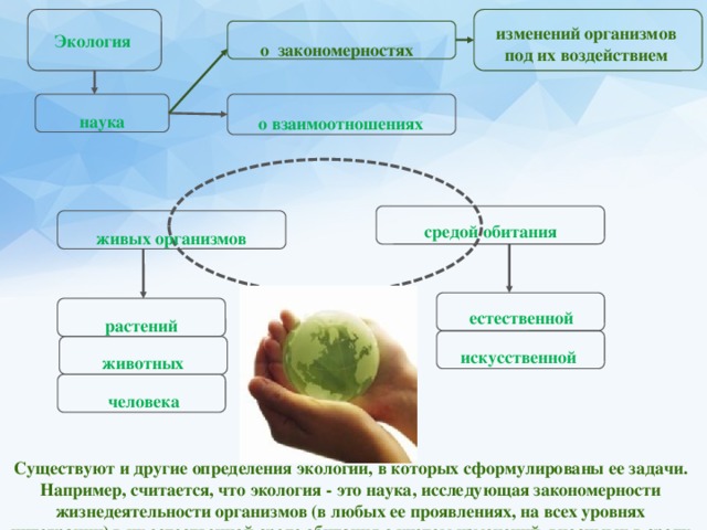 Презентация информационная экология