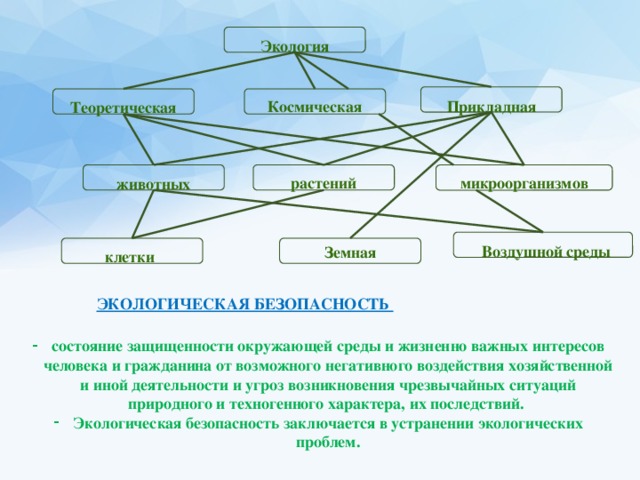 Презентация на тему прикладная экология