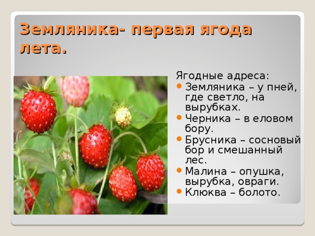 Ягоды лесные и садовые презентация