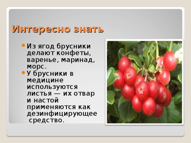Ягоды лесные презентация