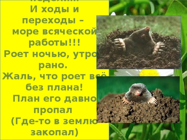 Дома которые построила природа