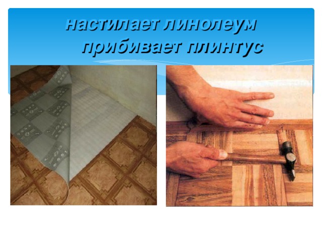 настилает линолеум  прибивает плинтус 