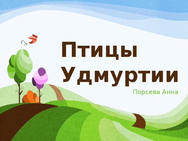 Птицы Удмуртии Порсева Анна 