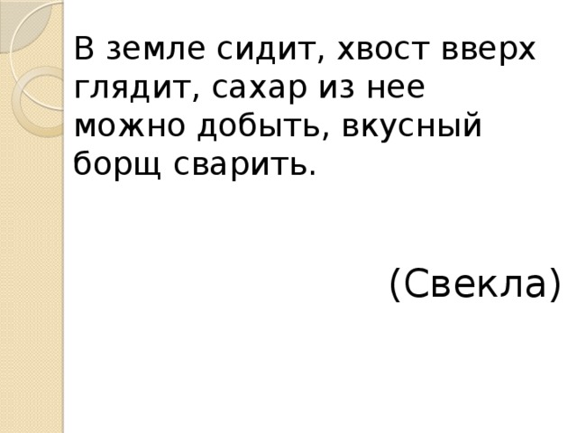 В земле сидит, хвост вверх глядит, сахар из нее можно добыть, вкусный борщ сварить. (Свекла) 