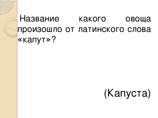 Название какого овоща произошло от латинского слова « капут » ? (Капуста) 