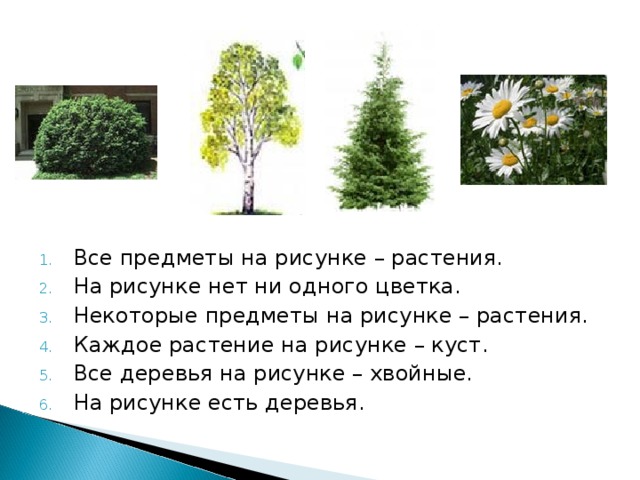 Все предметы на рисунке – растения. На рисунке нет ни одного цветка. Некоторые предметы на рисунке – растения. Каждое растение на рисунке – куст. Все деревья на рисунке – хвойные. На рисунке есть деревья. 
