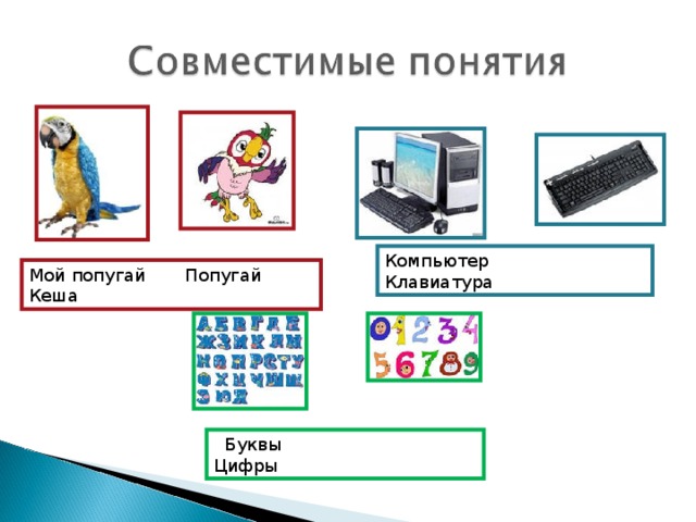 Компьютер Клавиатура Мой попугай Попугай Кеша  Буквы Цифры 