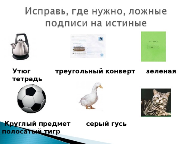 Утюг треугольный конверт зеленая тетрадь  Круглый предмет серый гусь полосатый тигр 