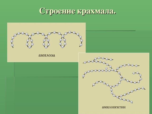 Строение крахмала. 