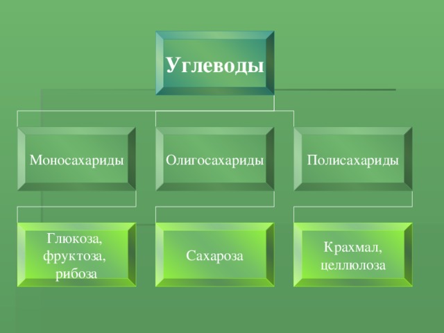 Углеводы Моносахариды Олигосахариды Полисахариды Глюкоза, фруктоза, рибоза Сахароза Крахмал, целлюлоза 