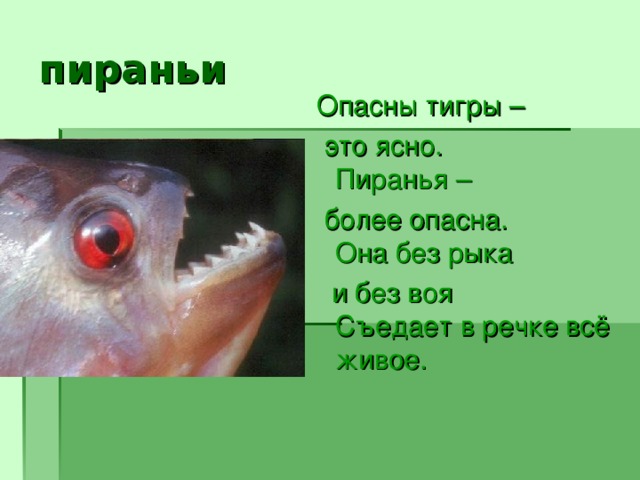 пираньи Опасны тигры –  это ясно.  Пиранья –  более опасна.  Она без рыка  и без воя  Съедает в речке всё живое.   