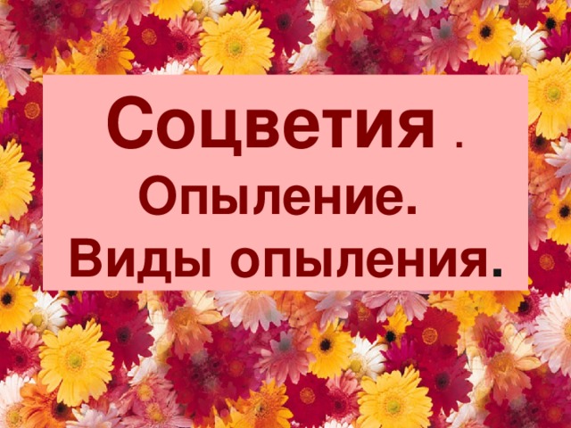 Соцветия . Опыление.  Виды опыления . 