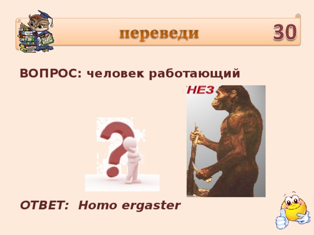 ВОПРОС: человек работающий ОТВЕТ: Homo ergaster