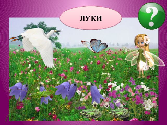 ЛУКИ 