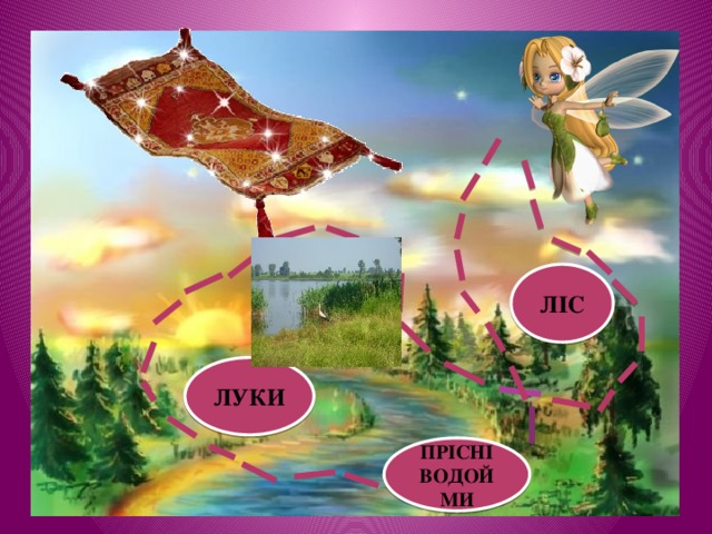 ЛІС ЛУКИ ПРІСНІ ВОДОЙМИ 