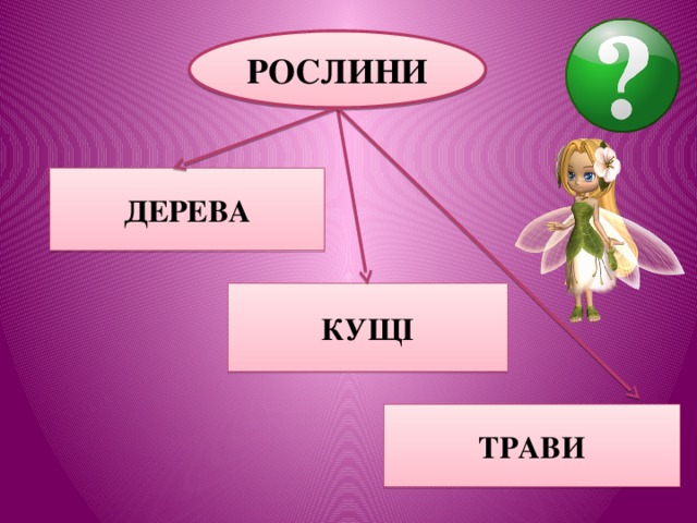 РОСЛИНИ ДЕРЕВА  КУЩІ ТРАВИ 