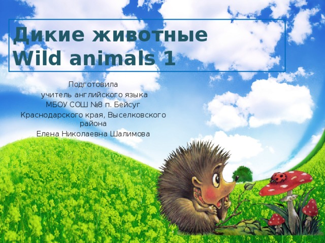 Дикие животные  Wild animals 1 Подготовила  учитель английского языка МБОУ СОШ №8 п. Бейсуг Краснодарского края, Выселковского района Елена Николаевна Шалимова