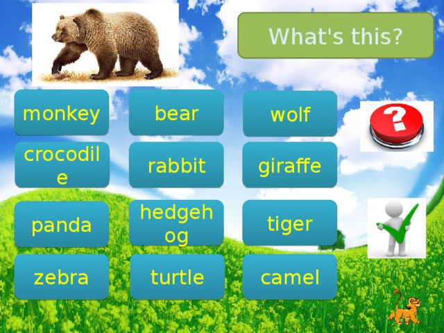 What's this? bear monkey wolf giraffe crocodile rabbit tiger hedgehog panda camel zebra turtle