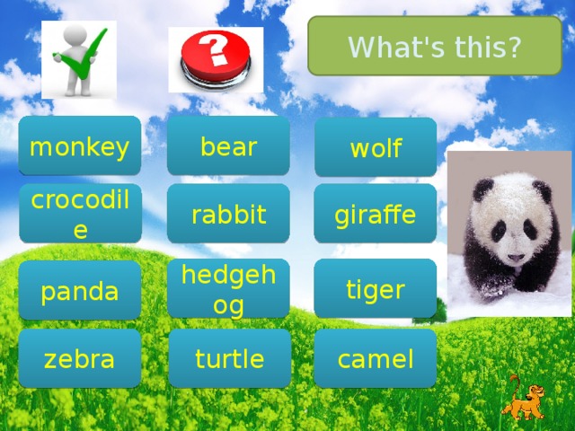 What's this? bear monkey wolf giraffe crocodile rabbit tiger hedgehog panda camel zebra turtle