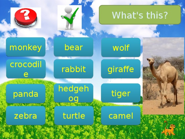 What's this? bear monkey wolf giraffe crocodile rabbit tiger hedgehog panda camel zebra turtle