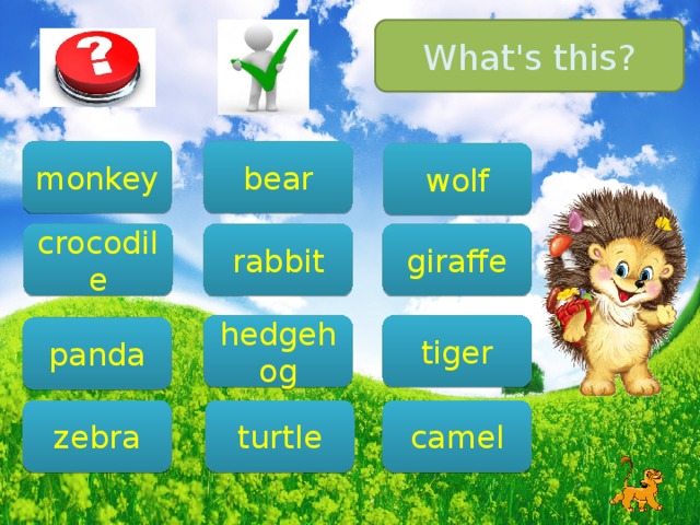 What's this? bear monkey wolf giraffe crocodile rabbit tiger hedgehog panda camel zebra turtle