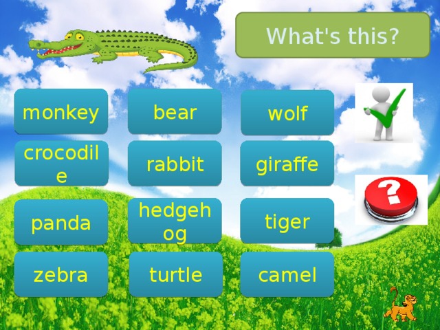 What's this? monkey bear wolf rabbit crocodile giraffe tiger hedgehog panda zebra camel turtle