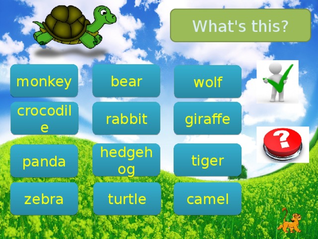 What's this? monkey bear wolf rabbit crocodile giraffe tiger hedgehog panda zebra camel turtle