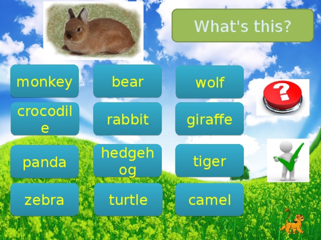 What's this? monkey bear wolf rabbit giraffe crocodile tiger hedgehog panda zebra camel turtle