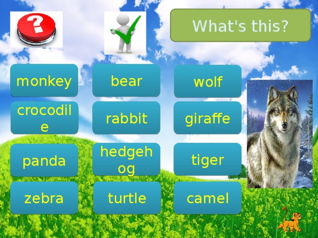 What's this? bear monkey wolf giraffe crocodile rabbit tiger hedgehog panda camel zebra turtle