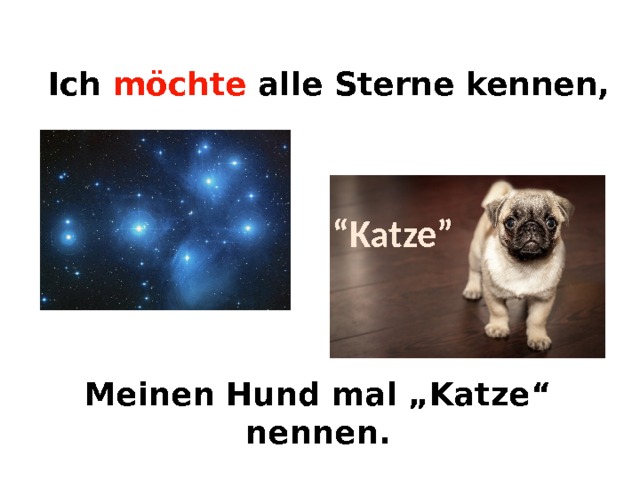 Ich möchte  alle Sterne kennen, “ Katze”  Meinen Hund mal „Katze“ nennen. 