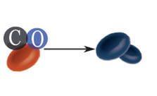 Озон угарный газ. УГАРНЫЙ ГАЗ И гемоглобин. Окись углерода с гемоглобином. Соединение гемоглобина с угарным газом реакция. Взаимодействие гемоглобина с угарным газом.