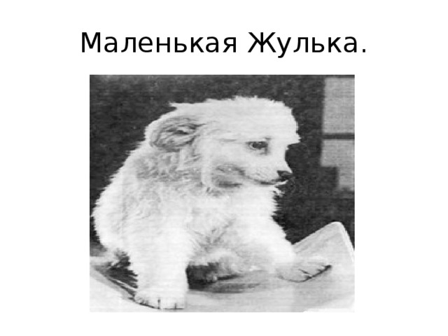 Пришвин норка и жулька презентация 1 класс школа 21 века