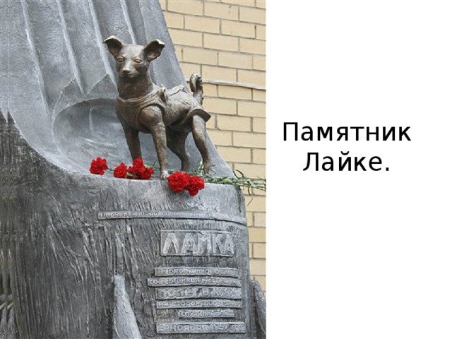 Памятник Белке