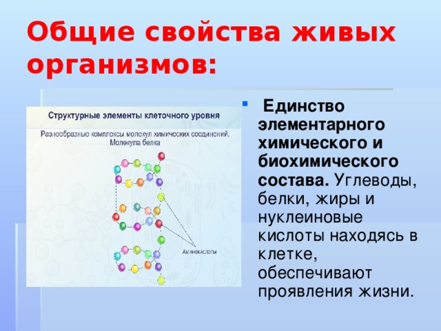 Общие свойства живых организмов:  Единство элементарного химического и биохимического состава. Углеводы, белки, жиры и нуклеиновые кислоты находясь в клетке, обеспечивают проявления жизни. 