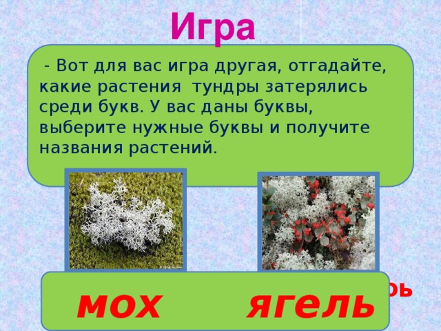 Игра  - Вот для вас игра другая, отгадайте, какие растения тундры затерялись среди букв. У вас даны буквы, выберите нужные буквы и получите названия растений.  мкоух яагмелоь  мох ягель 