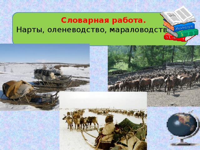  Словарная работа. Нарты, оленеводство, мараловодство. 